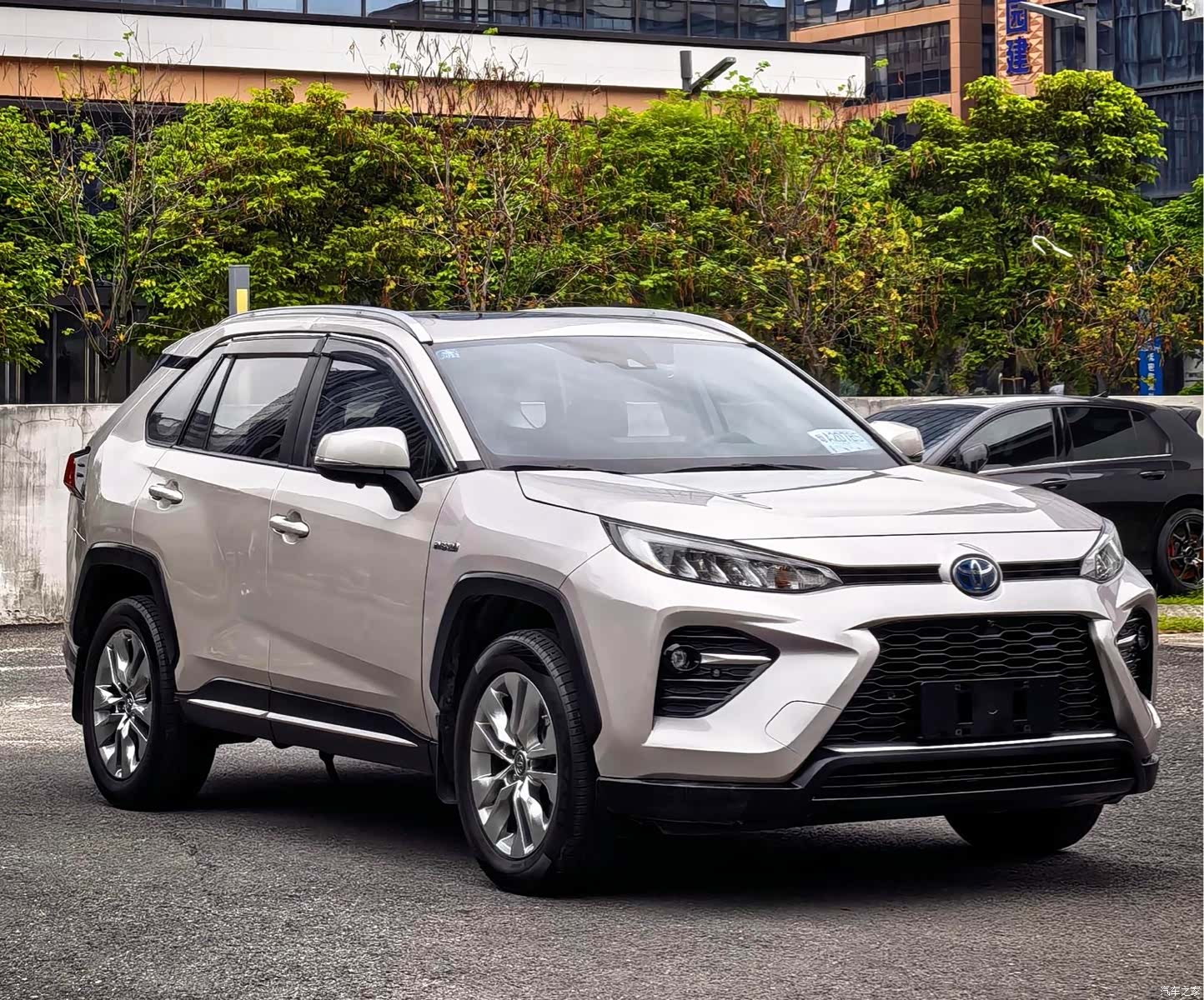 Toyota Wildlander, 2020 3