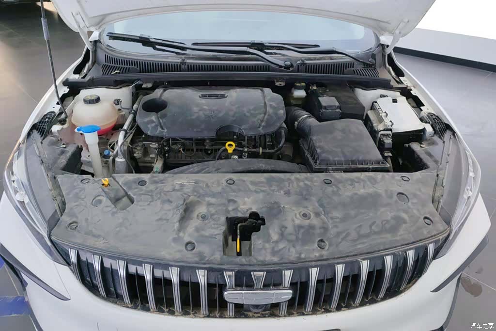 Geely Binray, 2024 10
