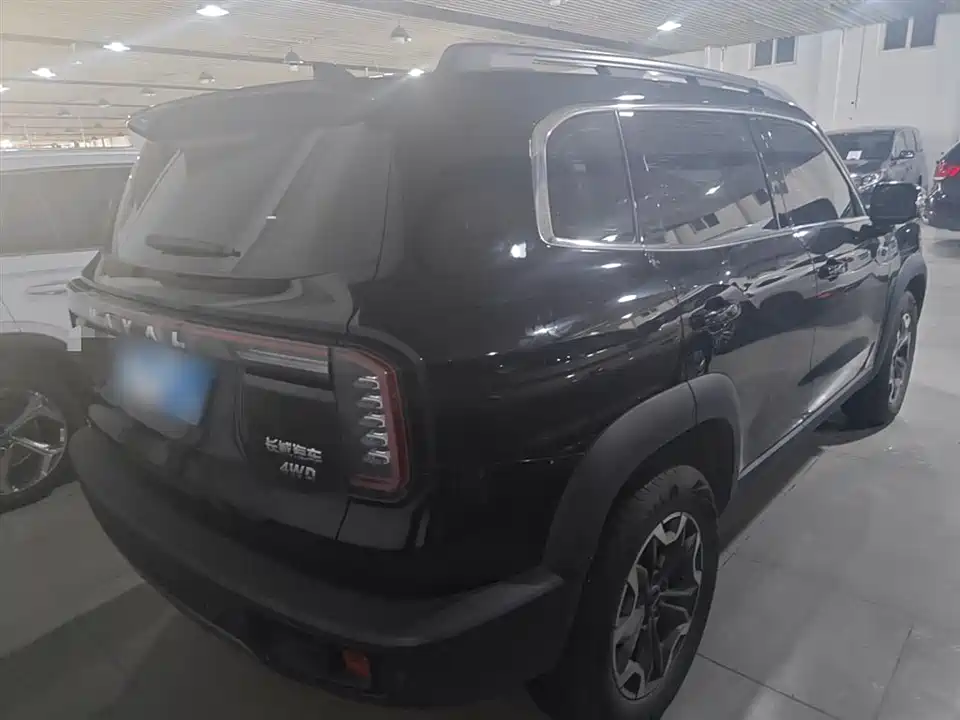Haval Big dog