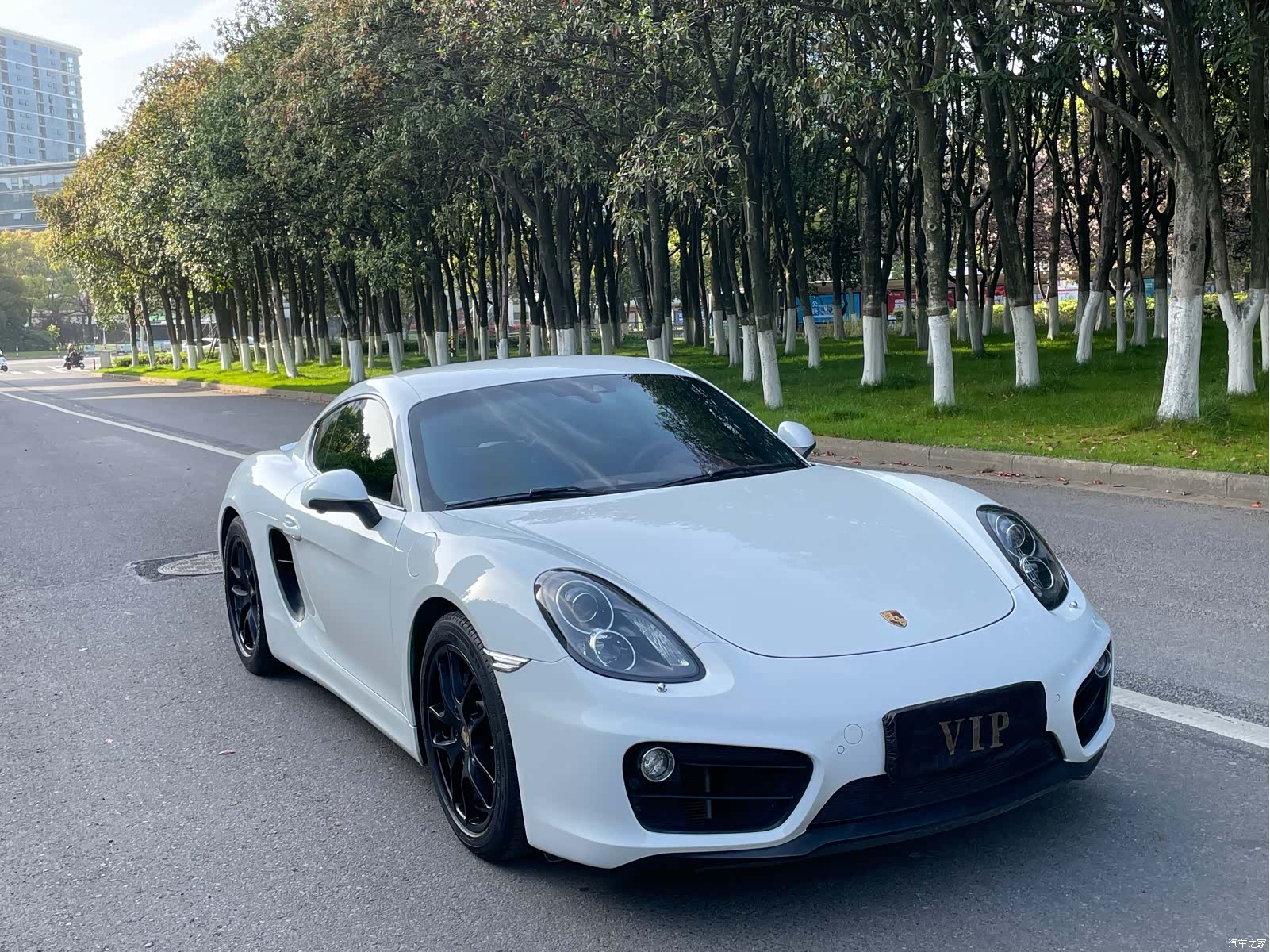Porsche Cayman, 2015 2