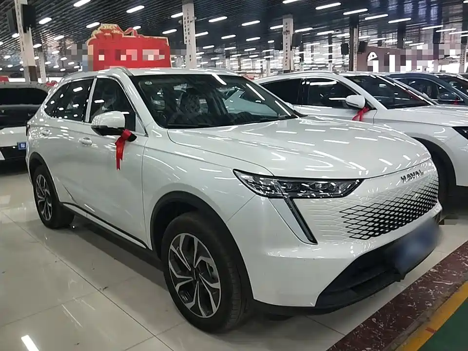 Haval Xiaolong MAX Haval Xiaolong MAX