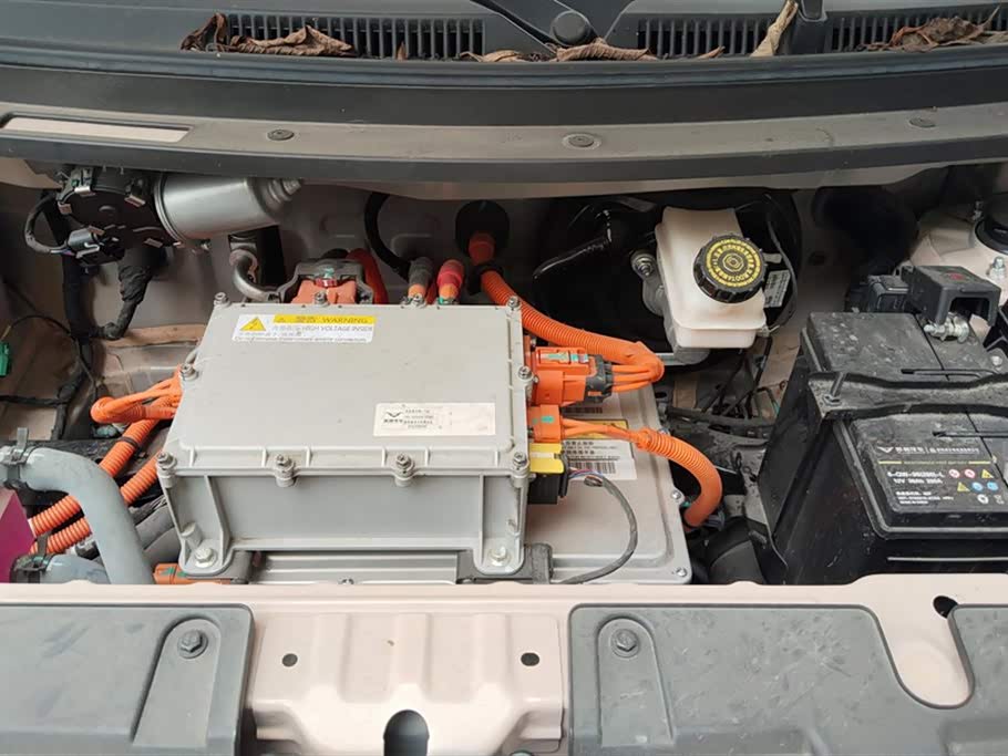 Cowin Picking up the moon