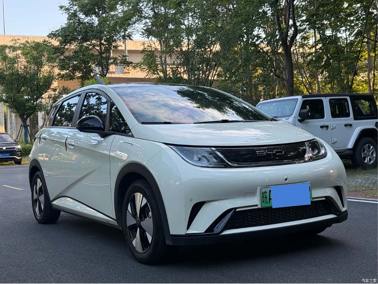 BYD Dolphin, 2023 3