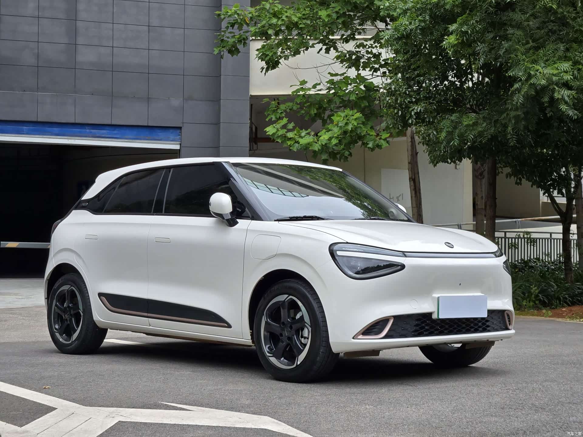 DongFeng 01, 2024 3