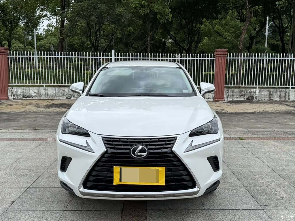 Lexus NX, 2021 2