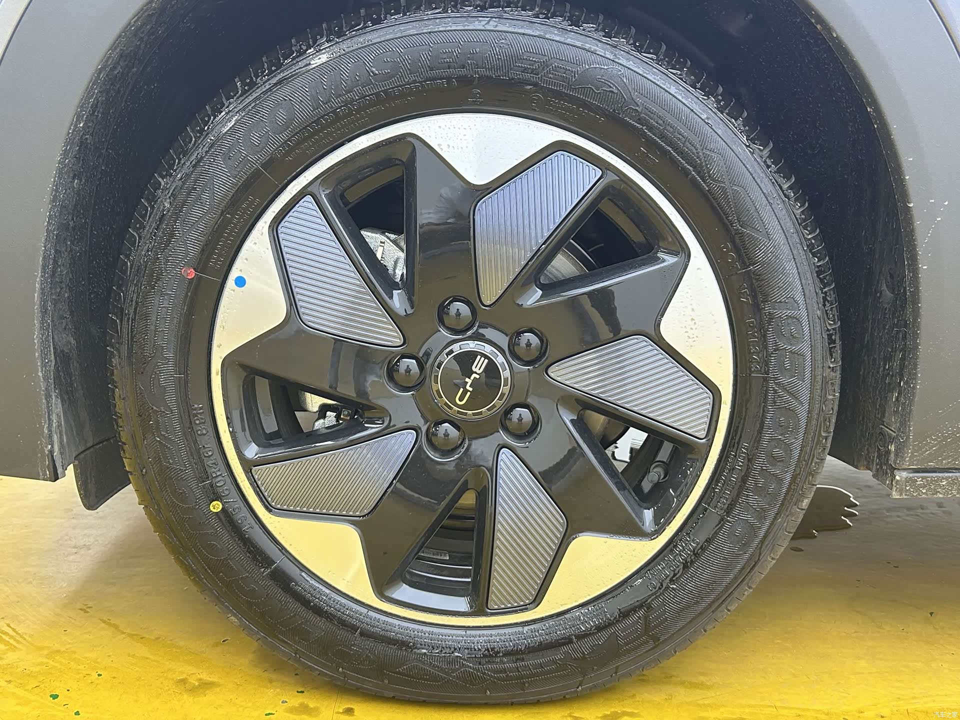 BYD Dolphin, 2026 6