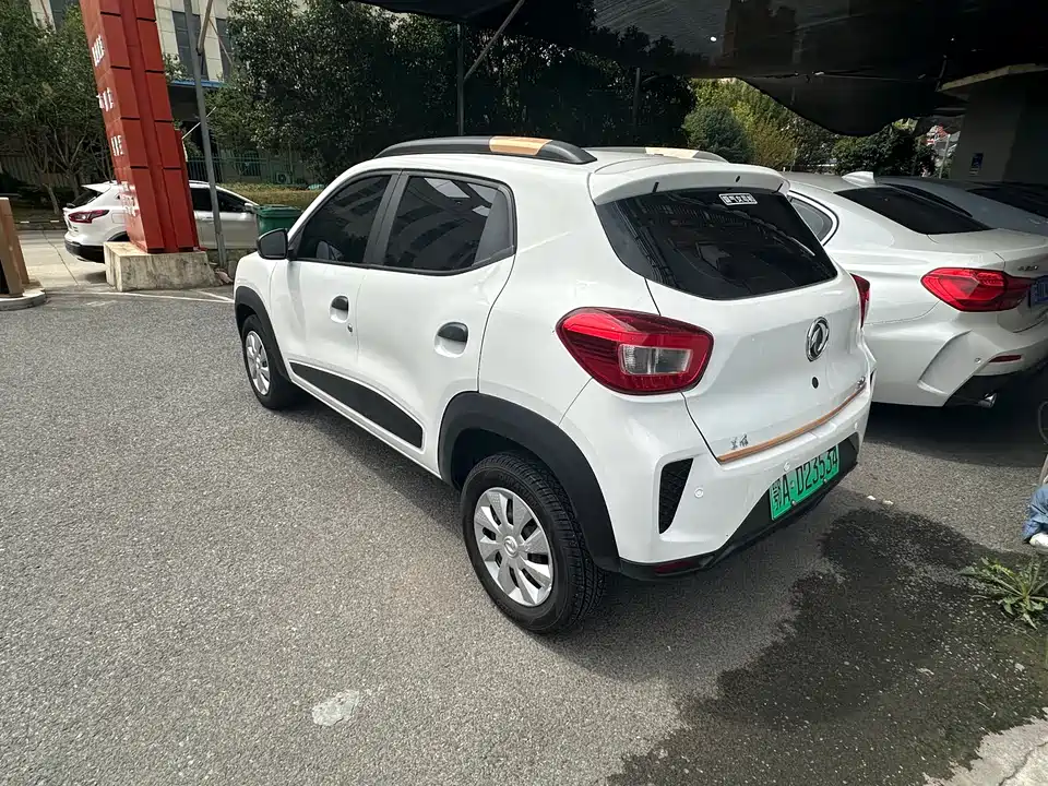 Dongfeng Nammi EX1