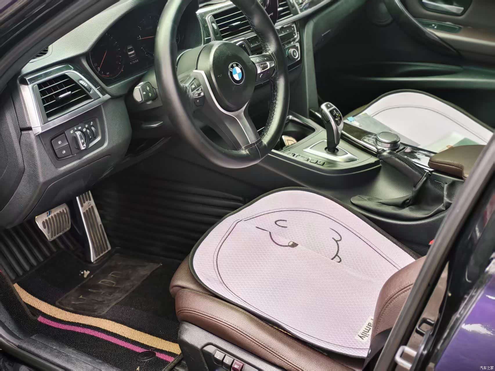 BMW 3 Series, 2019 4