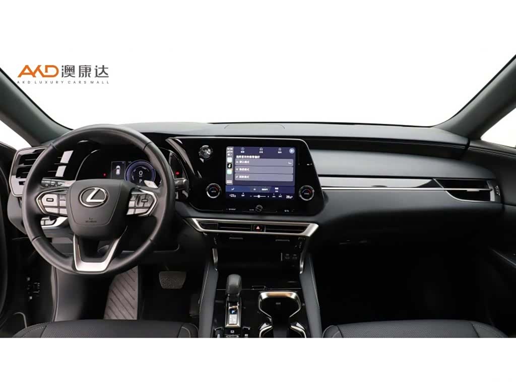 Lexus RX, 2024 все фото