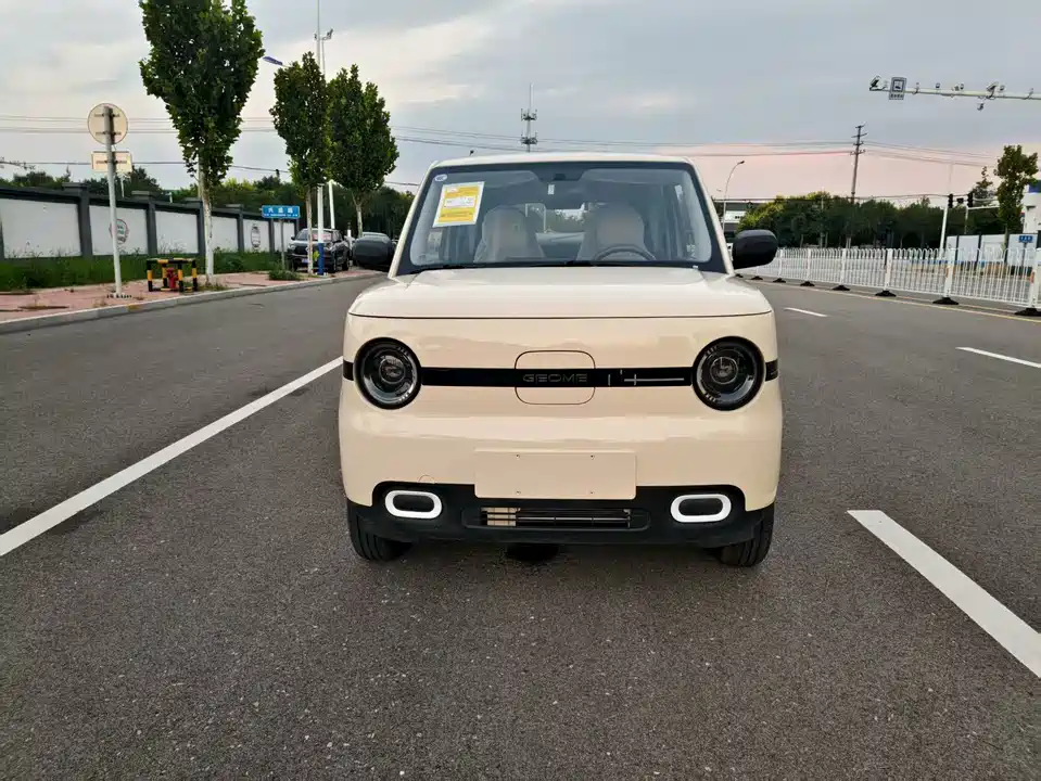 Geely Galaxy panda