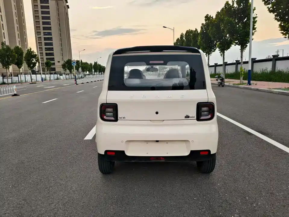 Geely Galaxy panda