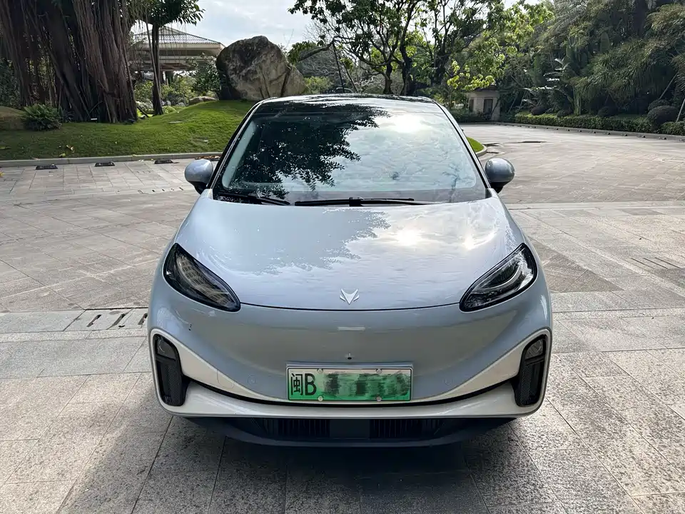 ARCFOX Polar fox koala