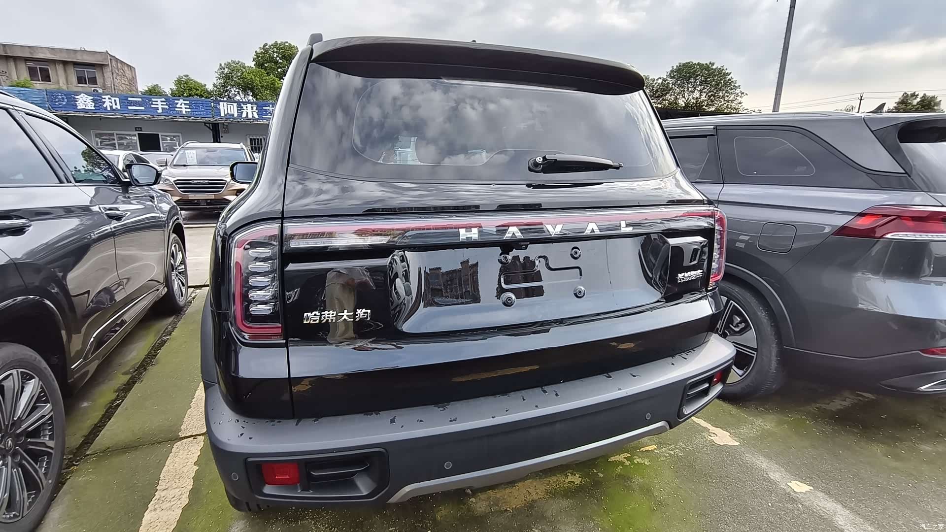Haval Big Dog, 2023 16
