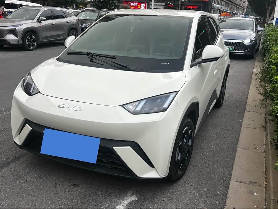 BYD Seagull