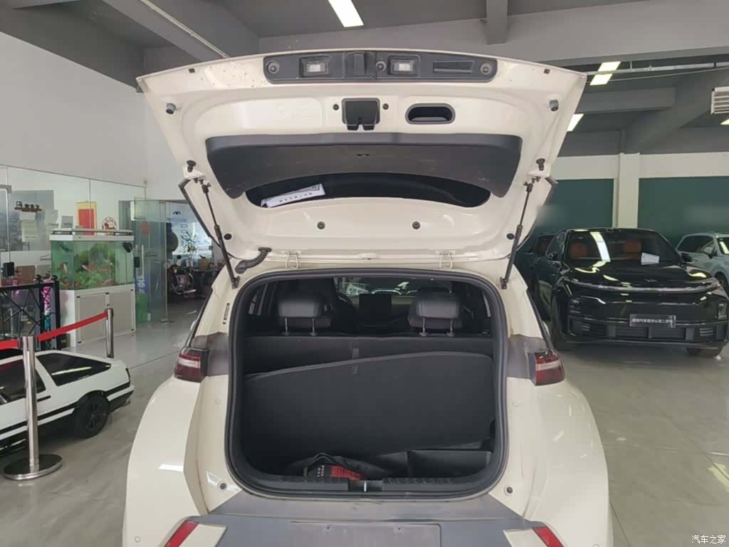 BYD Seagull, 2024 19