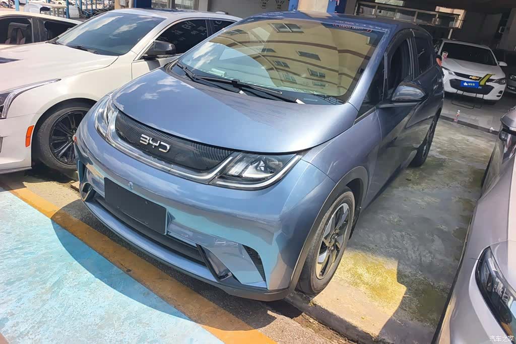 BYD Dolphin, 2024 1