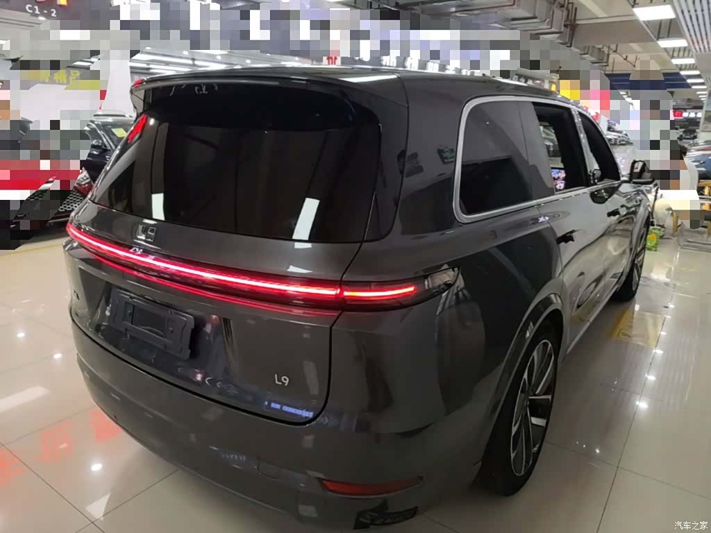 Li Auto L9, 2023 7
