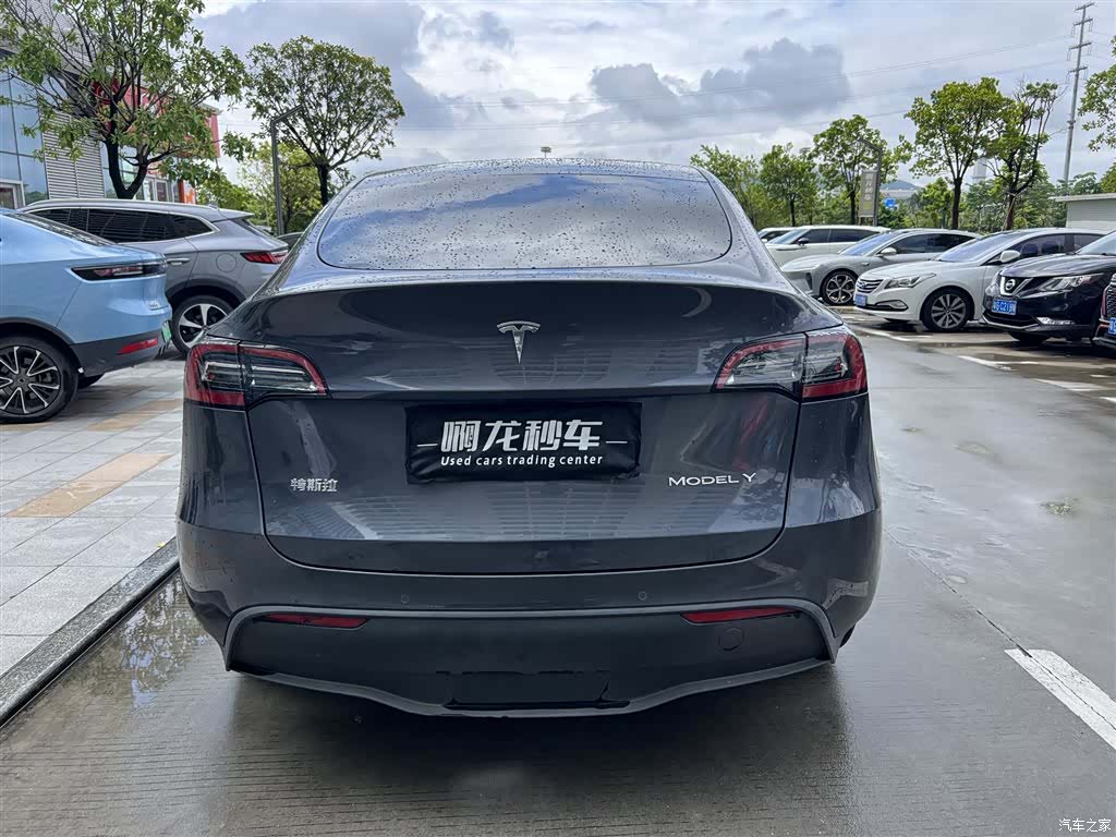 Tesla Model Y, 2021 8