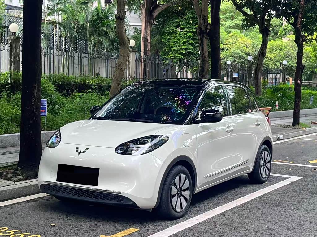 Wuling Binguo