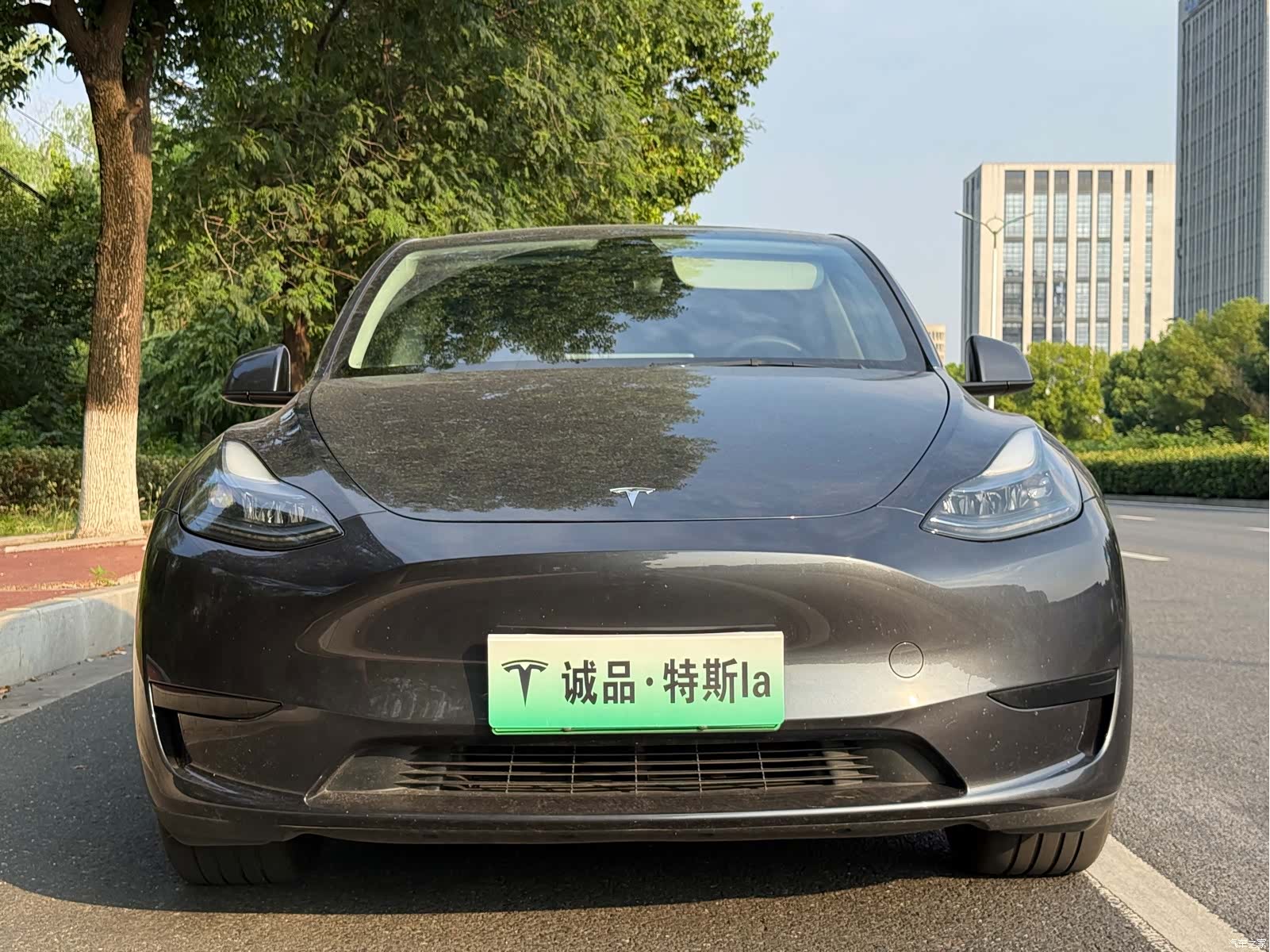 Tesla Model Y, 2024 все фото