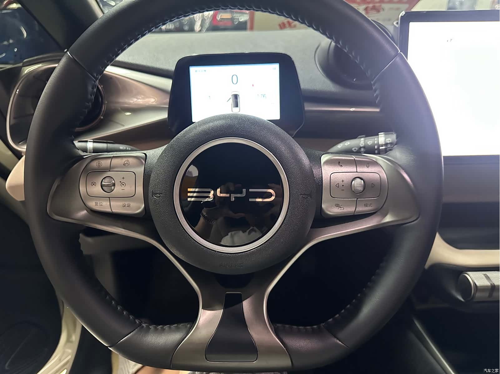BYD Dolphin, 2024 11