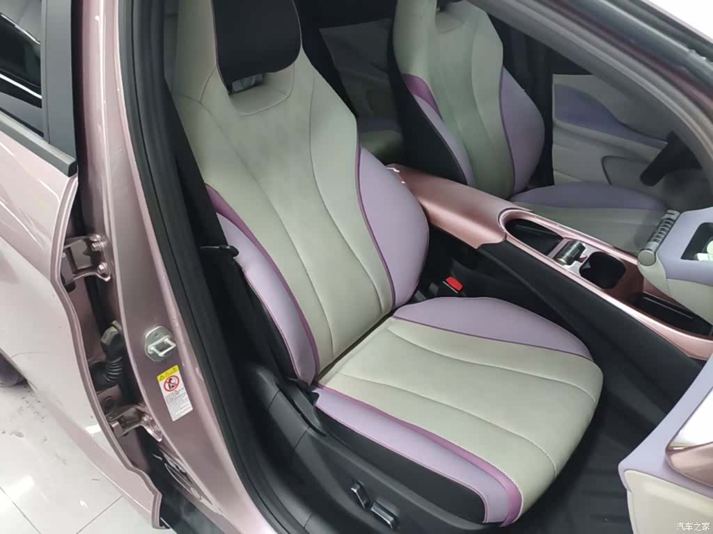 BYD Dolphin, 2024 20