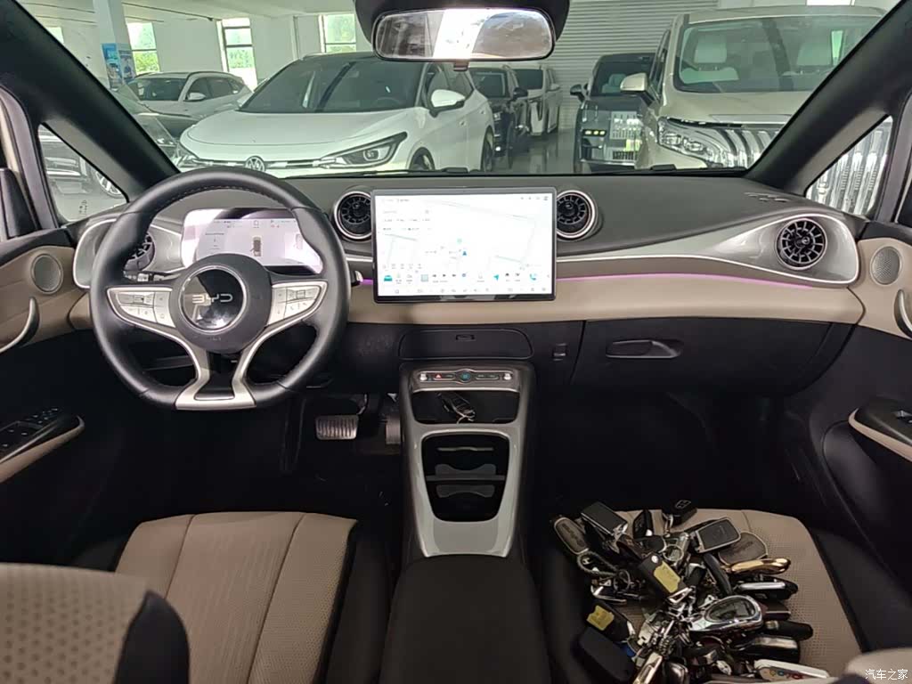 BYD Dolphin, 2025 10