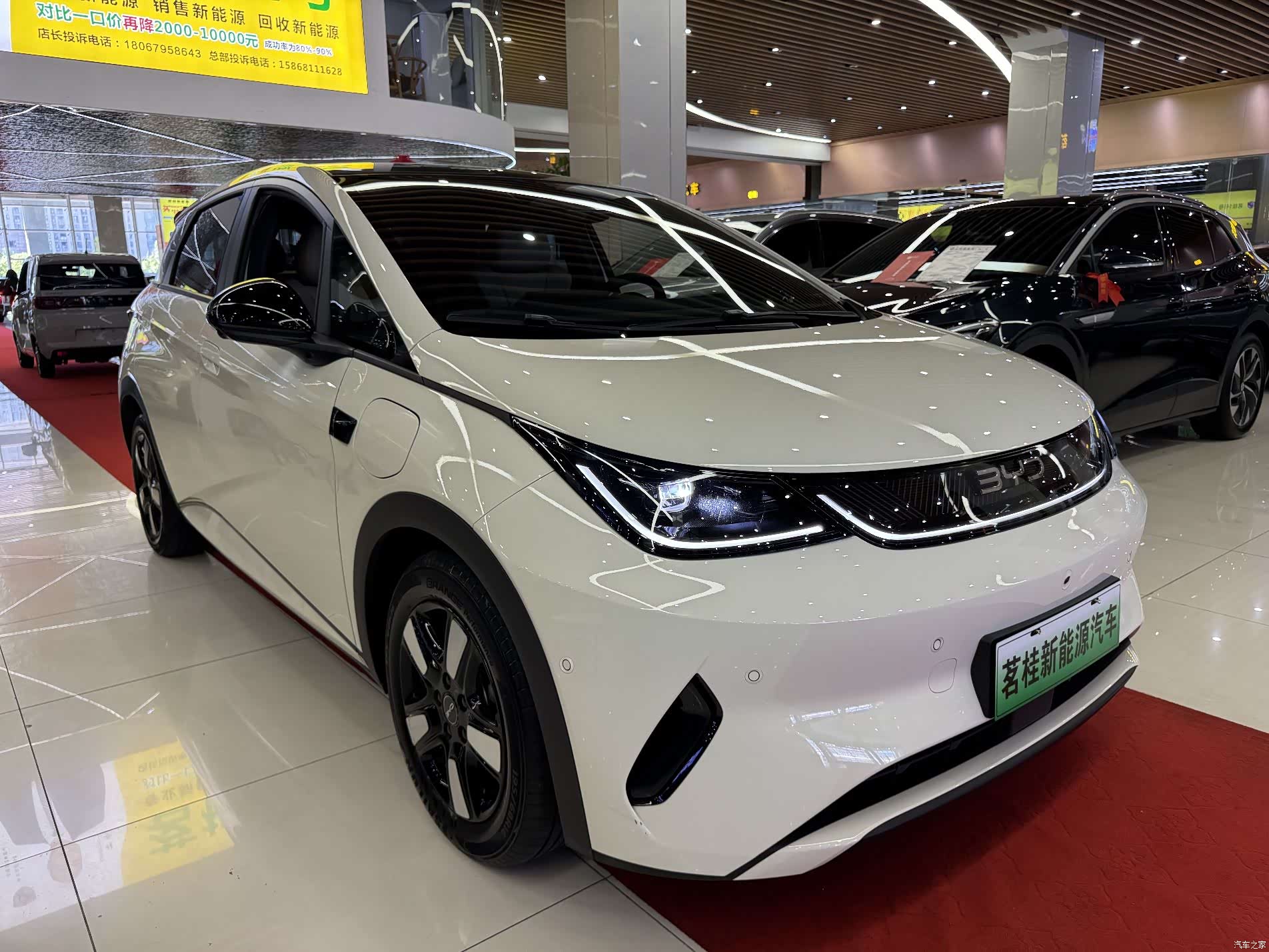 BYD Dolphin, 2025 3