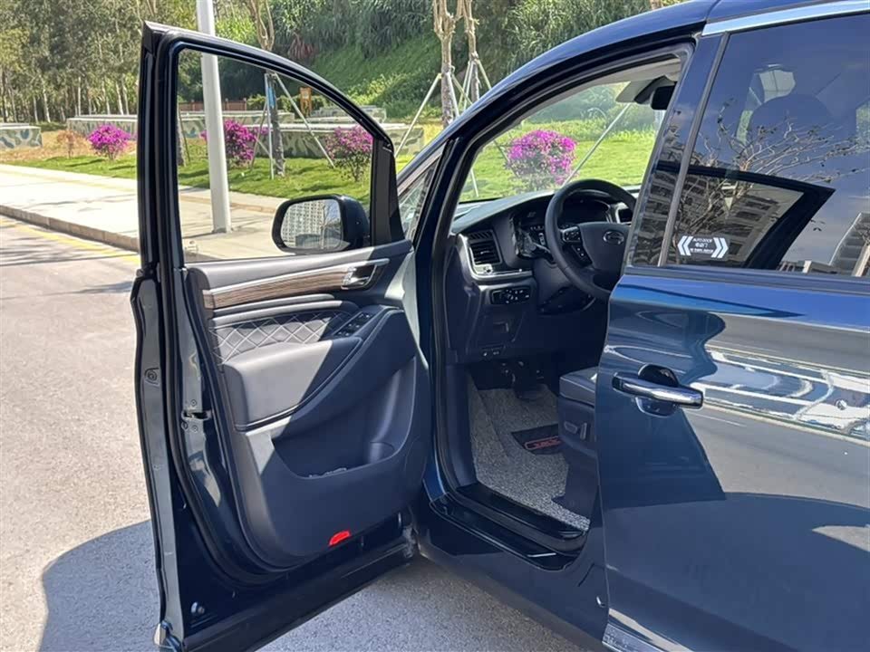 Trumpchi Trumpchi M8