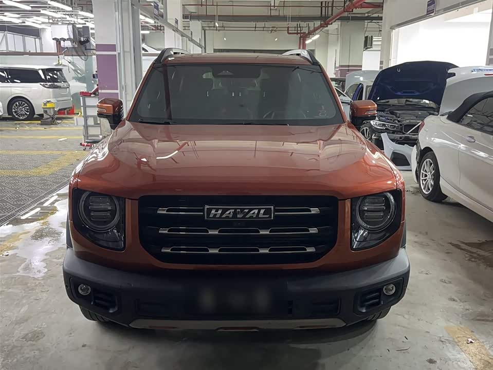Haval Big dog