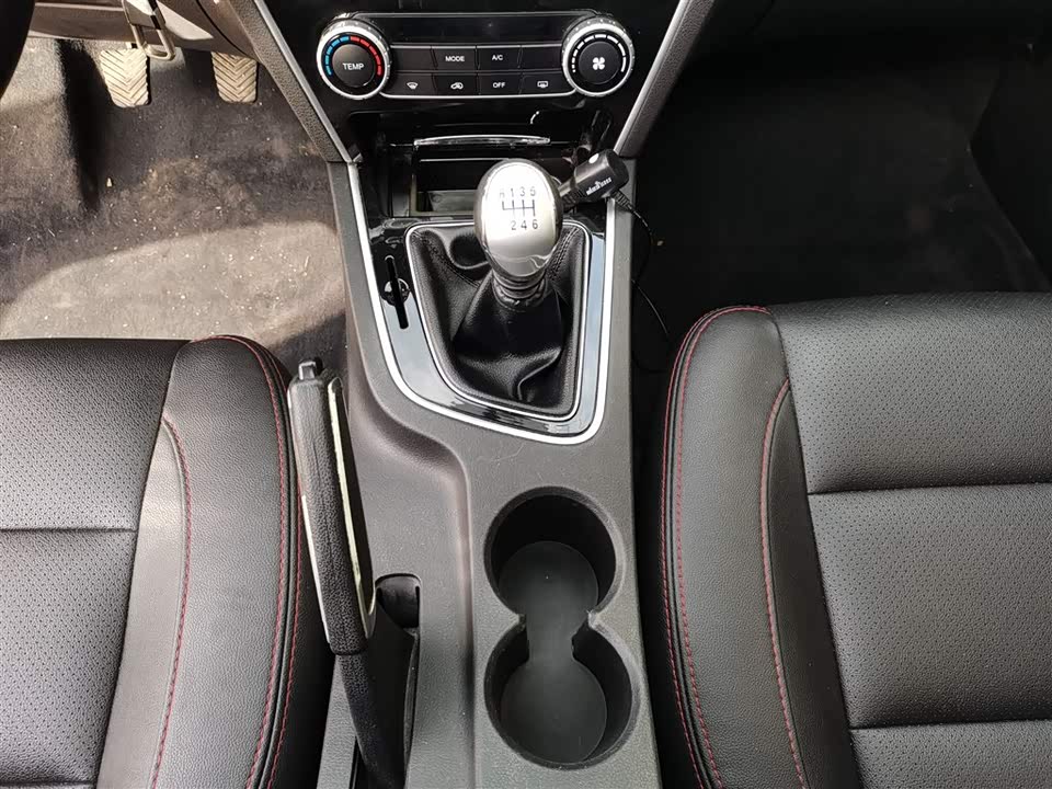 Leopaard Cheetah CS10