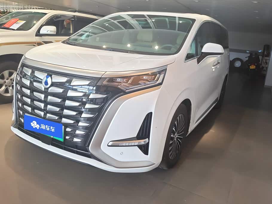 Denza D9