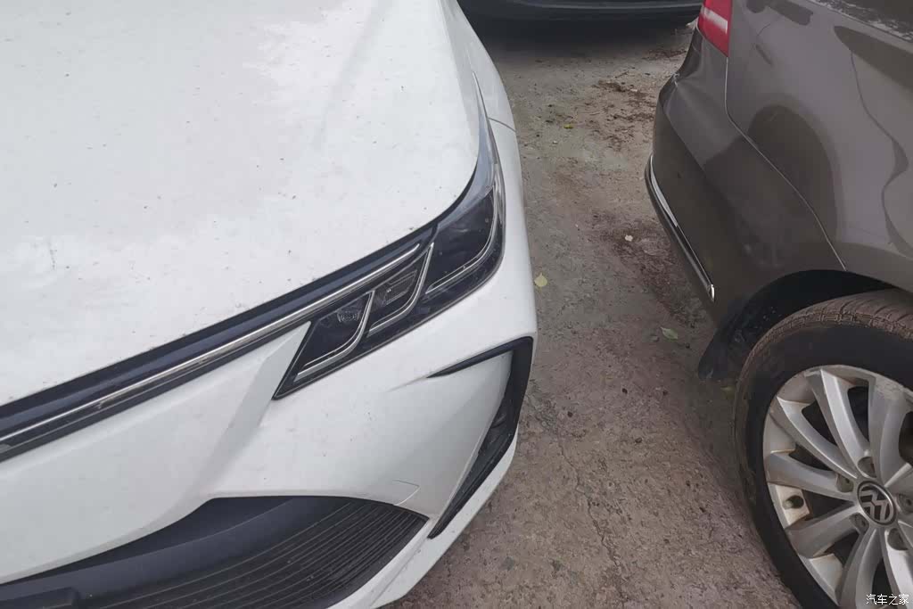 Toyota Corolla, 2019 все фото