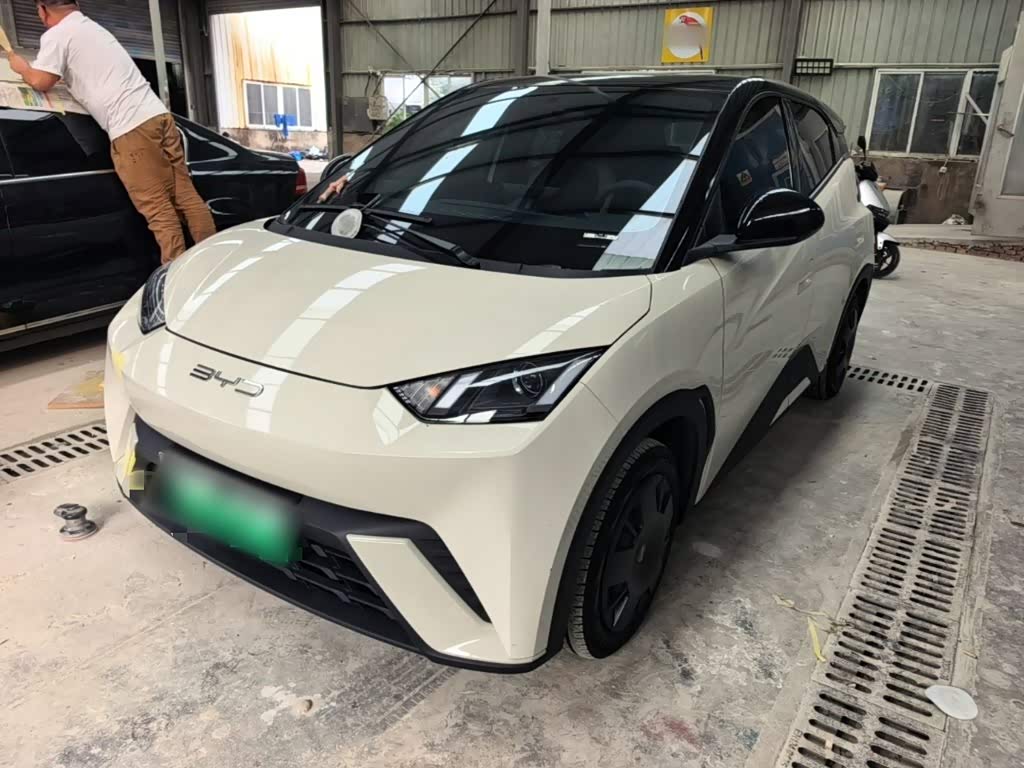 BYD Seagull