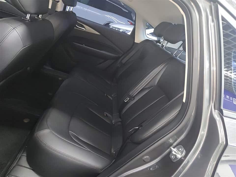 Wuling Wuling Starlight