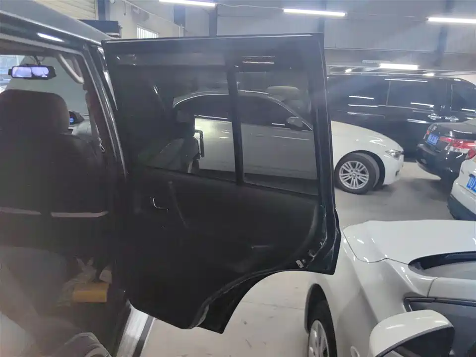 Leopaard Black King Kong