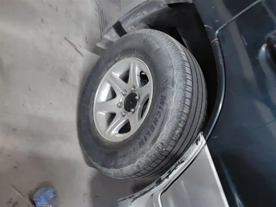 Leopaard Black King Kong