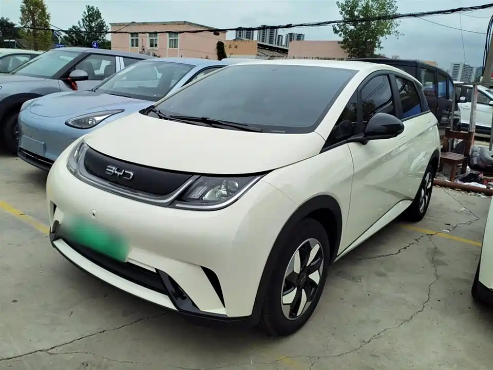 BYD dolphin