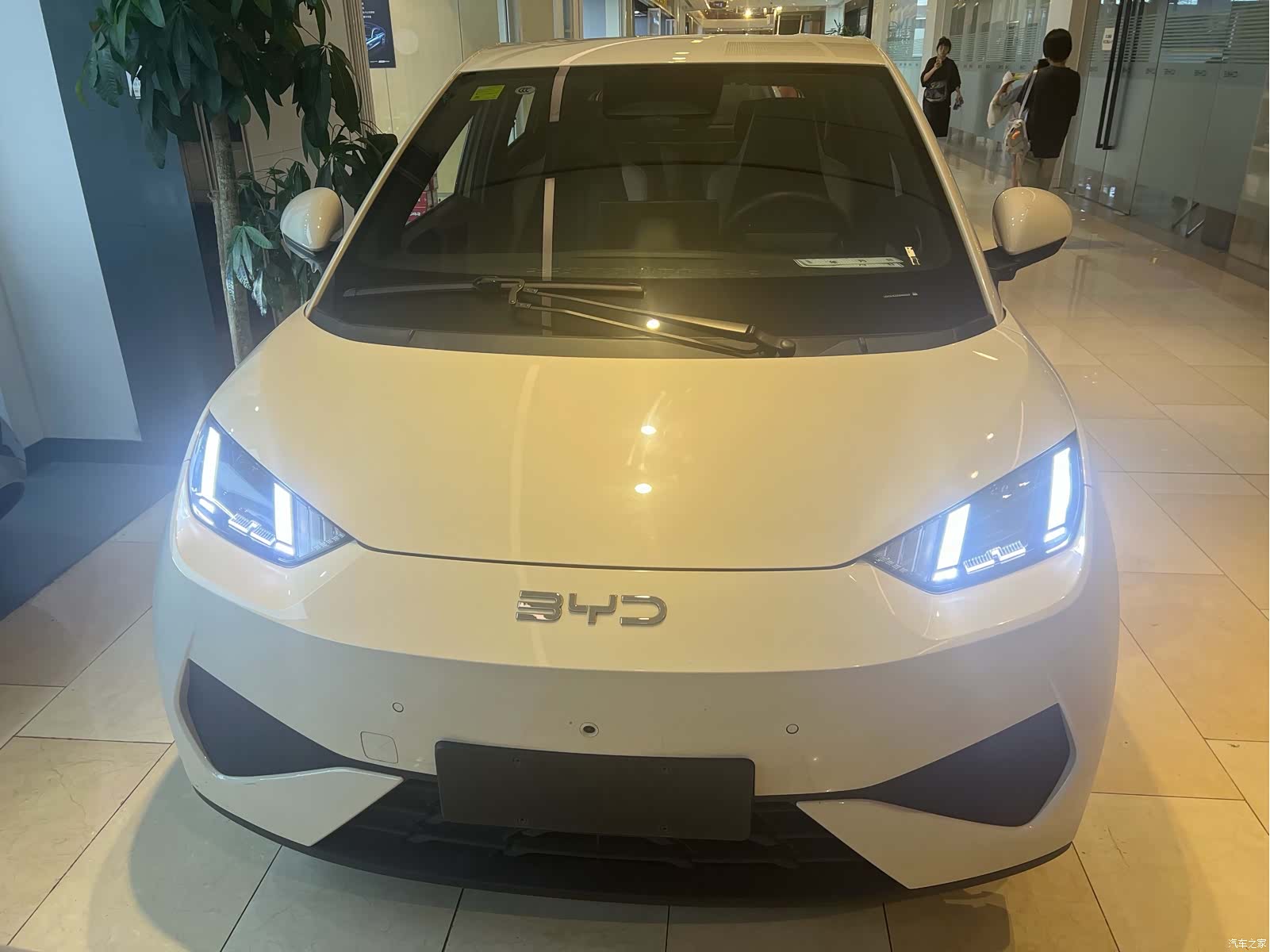 BYD Seagull, 2025 2