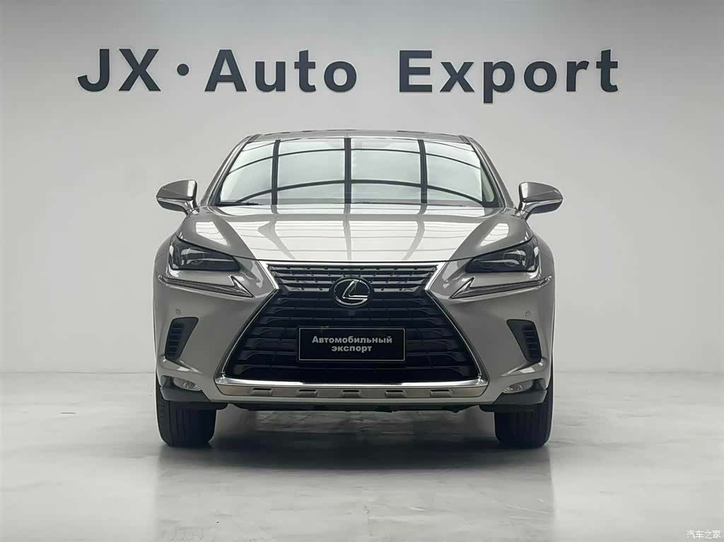 Lexus NX, 2021 2