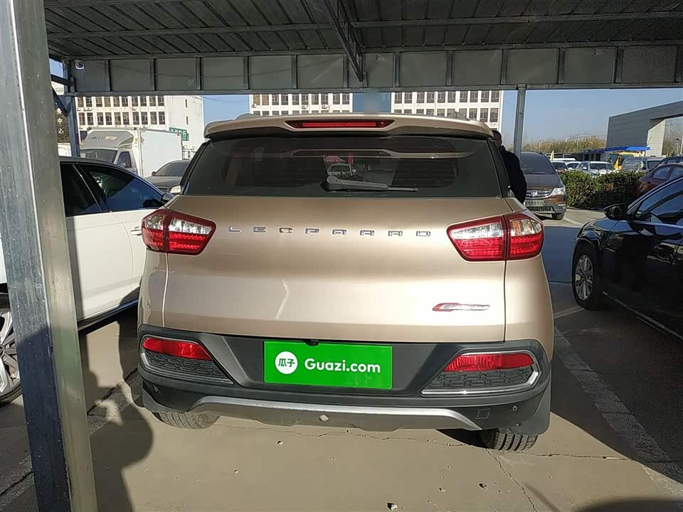 Leopaard Cheetah CS9