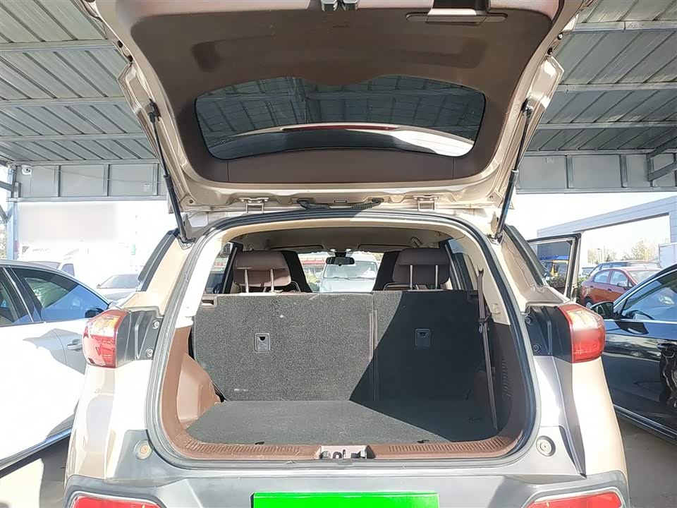 Leopaard Cheetah CS9