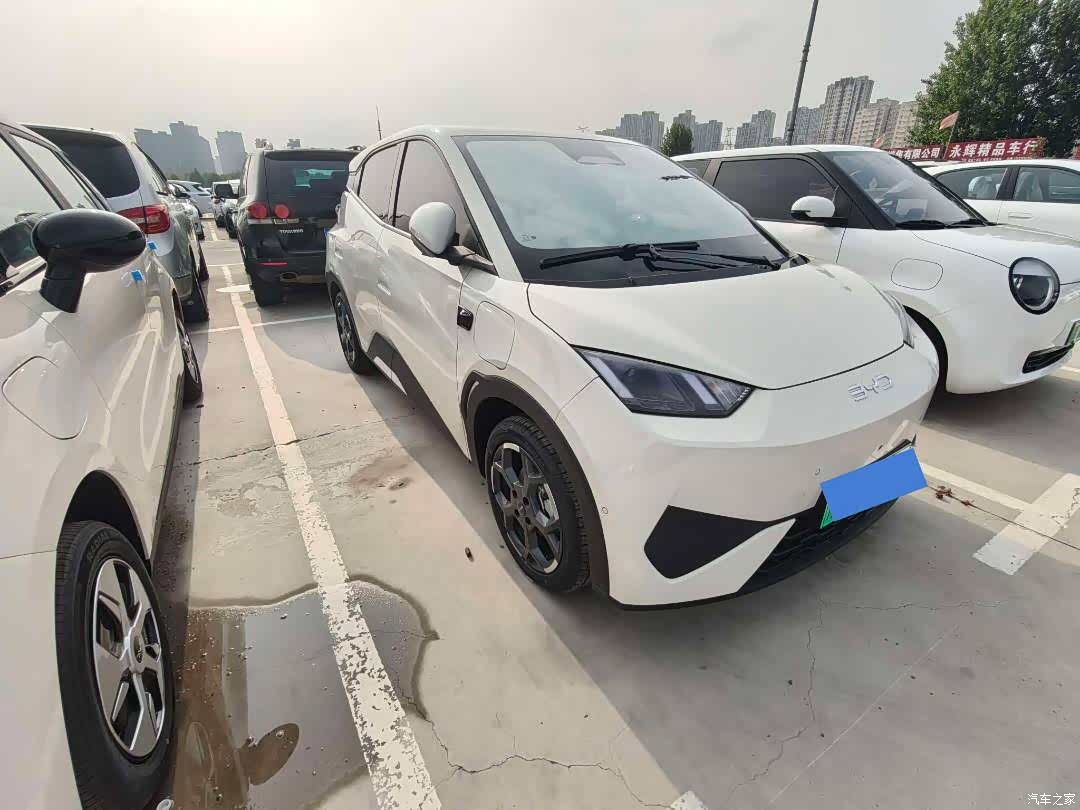 BYD Seagull, 2025 3