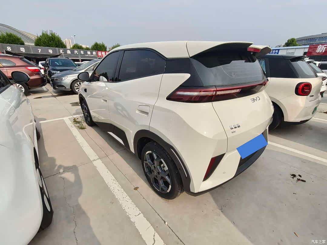 BYD Seagull, 2025 7
