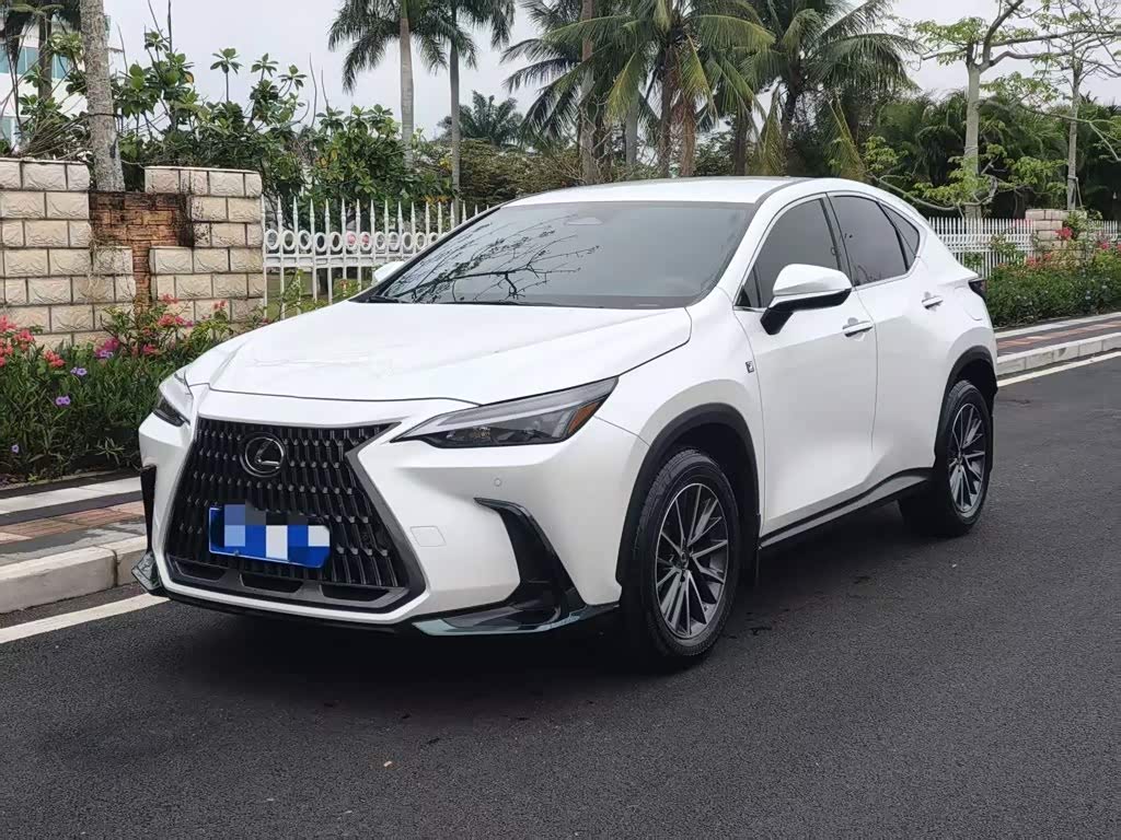 Lexus NX 2022 260