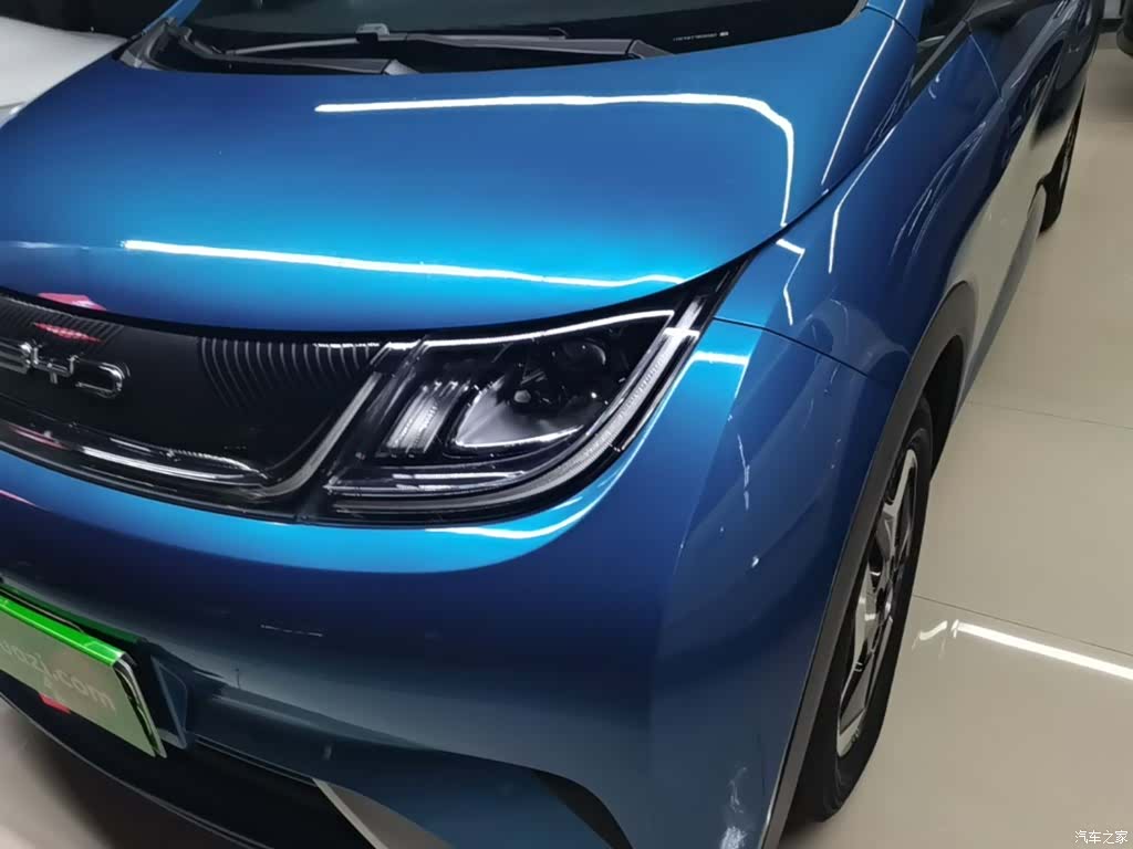 BYD Dolphin, 2022 24