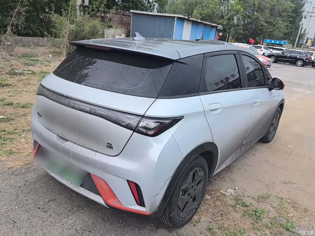 BYD Dolphin, 2021 7