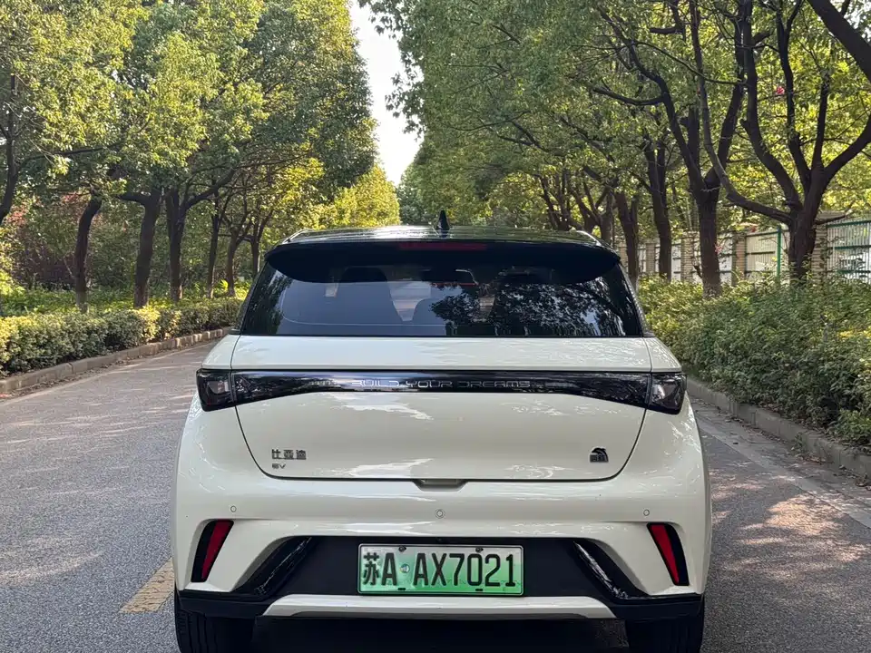 BYD dolphin