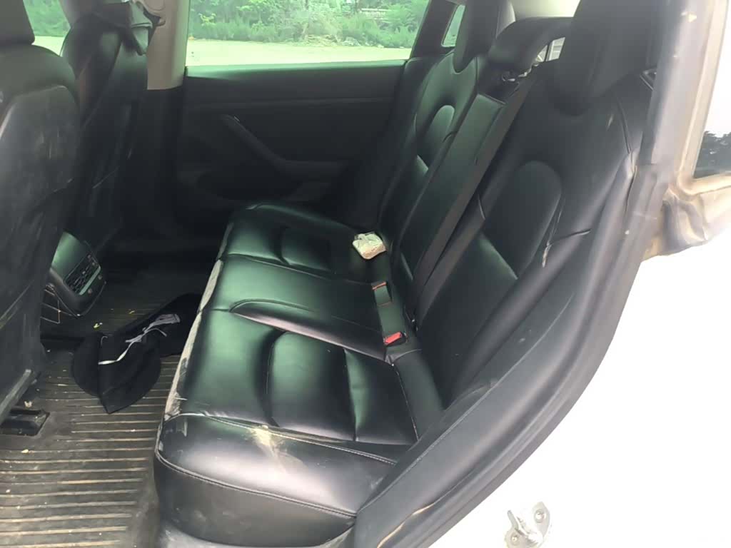 Tesla Model 3, 2020 17