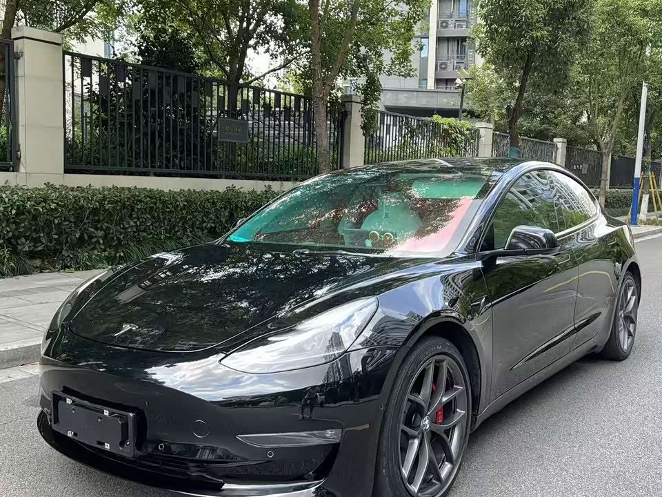 Tesla Model 3 Tesla Model 3